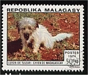 Coton stamp